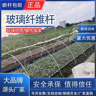 小拱棚支架杆蔬菜拱棚骨架育苗菜棚花棚玻璃纤维杆弹力棒农用大棚