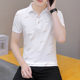翻领冰感潮流休闲帅气上衣体恤衫 夏季 t恤透气Polo衫 短袖 轻奢男士