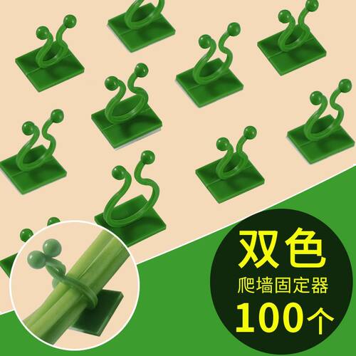 绿箩爬上神器爬墙上固定器绿萝绿植攀爬夹子墙上挂钩粘爬藤杆