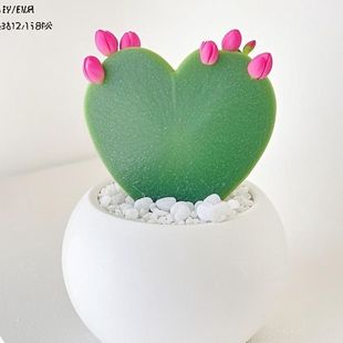 多肉植物一片爱心【此生只爱一个人】阳台桌面心型心叶球兰小盆栽