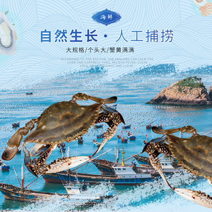 黄海野生公梭子蟹大飞蟹海鲜水产螃蟹海蟹白蟹保鲜不保活顺丰包邮