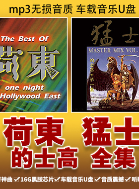 270首无损高音质荷东猛士的士高DJ舞曲汽车载U盘黑胶芯优盘MP3