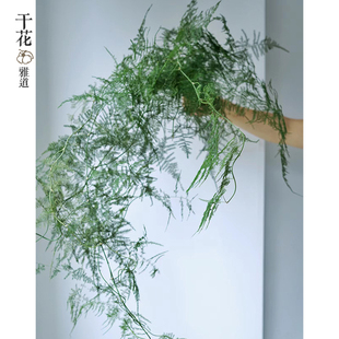 永生花文竹绿色干花花束婚庆花艺软装中式禅意悬挂陈列布置花材