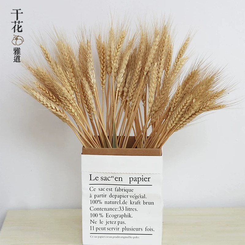 金黄色大卖麦子干花 自然风干小麦真花花束开业大麦装饰花篮道具