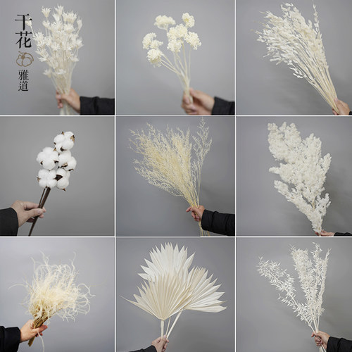 白色干花真花奶油满天星尾巴