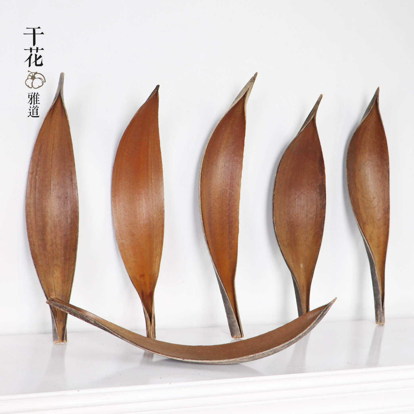 可可叶干花进口植物插花工作室桌面摆件天然植物叶子托盘饰品原色,家居饰品,干花/花瓣/干花包/干树枝,淘宝优惠券,粉丝福利购,淘宝优惠卷