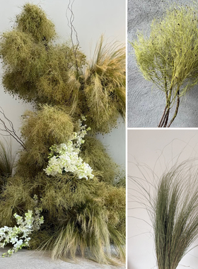 永生花柔丝梦幻草天然干花真花