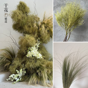 永生花柔丝梦幻草天然干花真花家居婚庆店铺装饰花束搭配烟花色