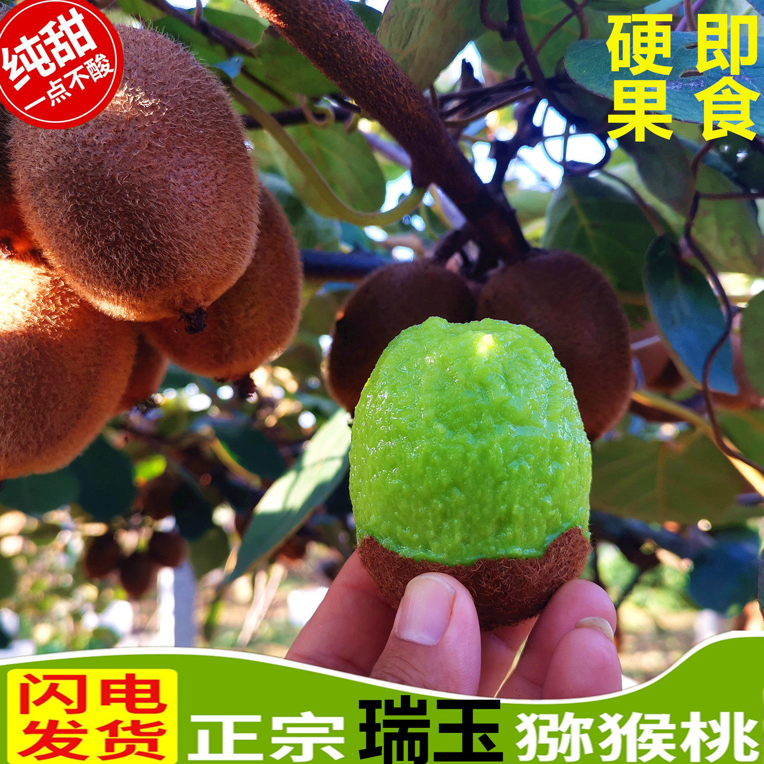 硬果即食陕西周至眉县瑞玉猕猴桃当季新鲜孕妇水果比肩翠香奇异果