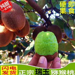 硬果即食正宗陕西周至徐香猕猴桃当季新鲜孕妇水果比肩进口奇异果