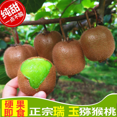 清甜陕西瑞玉猕猴桃比肩奇异果