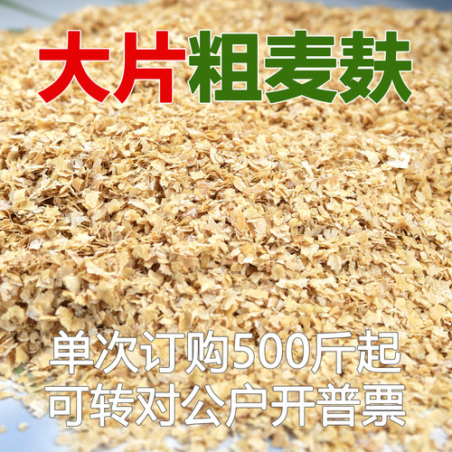 大片粗麸皮新鲜小麦麸皮