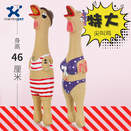 charmingpet网红同款金毛狗狗