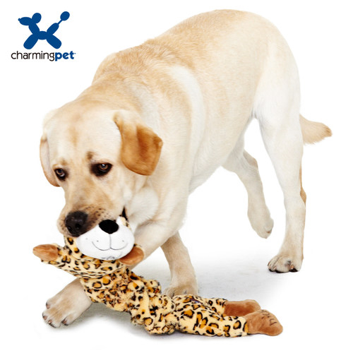 绮敏CharmingPet狗狗金毛耐咬