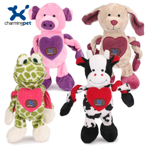 绮敏charmingpet狗狗金毛泰迪