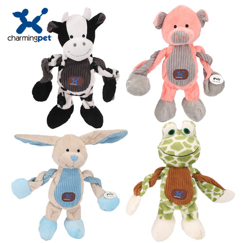 绮敏charmingpet狗狗泰迪金毛