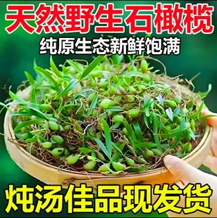 广东野石橄榄新鲜双叶单叶中果500g仙桃果上叶煲汤小炖汤养生材料