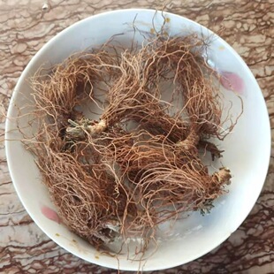 野生新鲜地胆头胆草根头牛吃埔 羊耳草 地胆头 苦地胆 煲汤地胆头