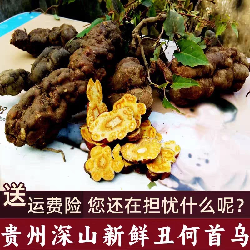 现采野生新鲜何首乌中药材正品500g大片生何乌片护发养发泡酒整颗