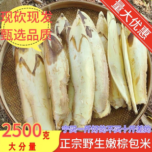 于都野生棕包赣南特产野生新鲜棕包米棕笋粽包花棕树尖棕包棕带壳