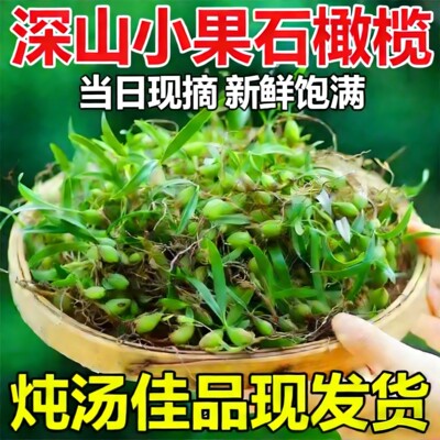 甄选广东现采新鲜小果石橄榄5斤