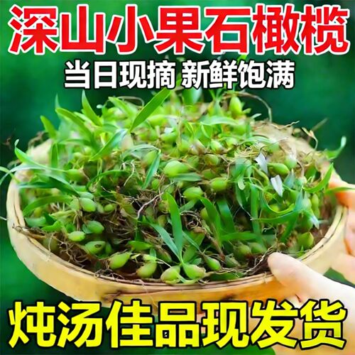 甄选广东现采新鲜小果石橄榄5斤