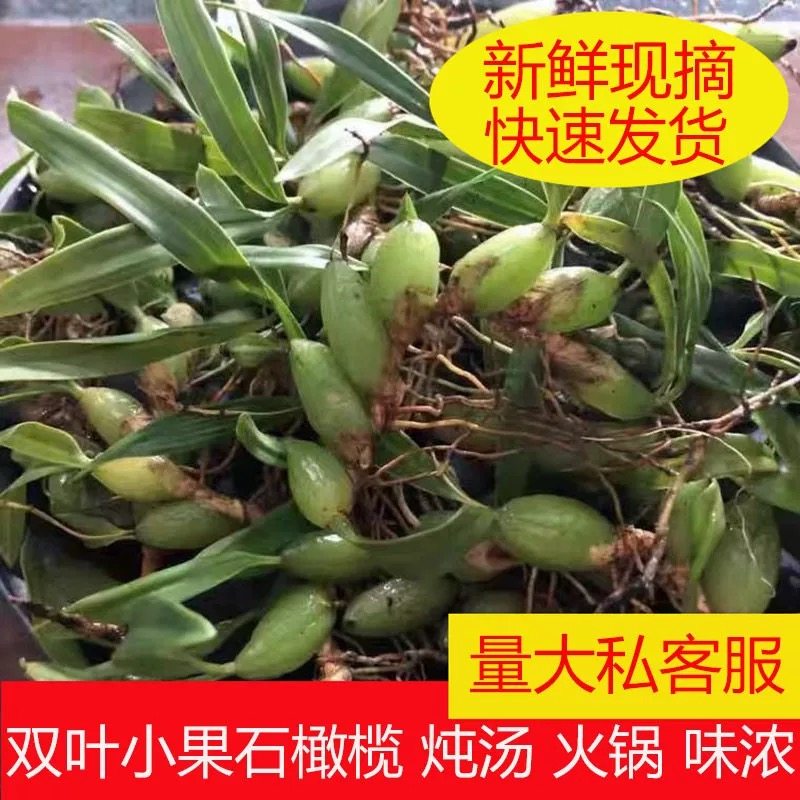 石橄榄新鲜野生炖汤包双单叶果上岩珠石甘榄小果石仙桃中药材干货