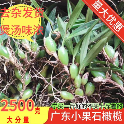 新鲜现采摘石橄榄石仙桃煲汤材料