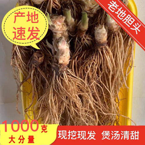 地胆头干货新鲜 新晒地胆草根正品广东煲汤料 红花地斩头500g包邮