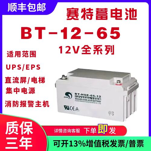 赛特蓄电池BT-12V24AH738