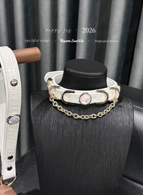 PuppyJoy「月光白」项链颈带项圈小众男女choker项圈手工定制