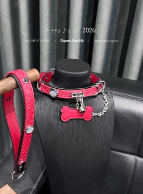 PuppyJoy「禁忌之恋」项链颈带项圈小众男女choker项圈手工定制