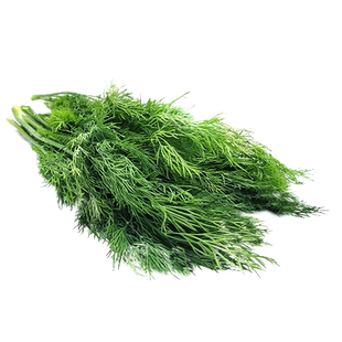 【蓝牌】新鲜莳萝草 dill 刁草 莳萝叶 洋茴香调味西餐香草料100g