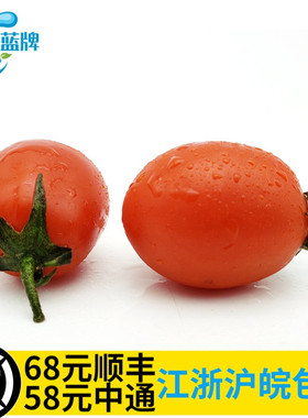 【蓝牌】新鲜樱桃小番茄 圣女果 Red Cherry Tomatoes迷你小番茄