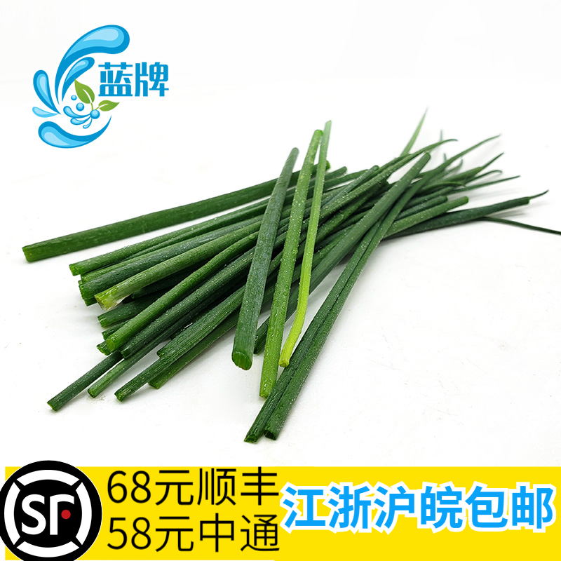 【蓝牌】新鲜细叶葱 chive 细香葱 法葱 虾夷葱 100g