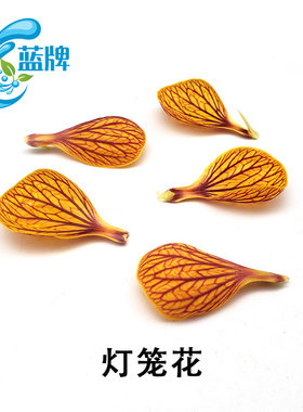 【蓝牌】新鲜灯笼花瓣摆盘装饰