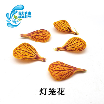【蓝牌】新鲜灯笼花瓣摆盘装饰