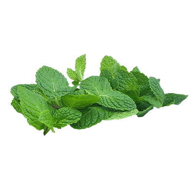 【蓝牌】新鲜纯薄荷尖烘焙