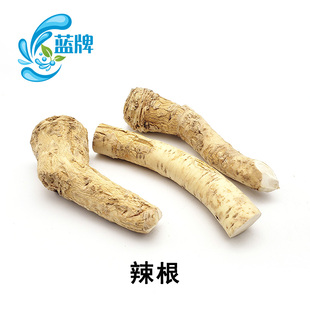 【蓝牌】 新鲜辣根horseradish新鲜山萝卜马萝卜日料新鲜西餐500g