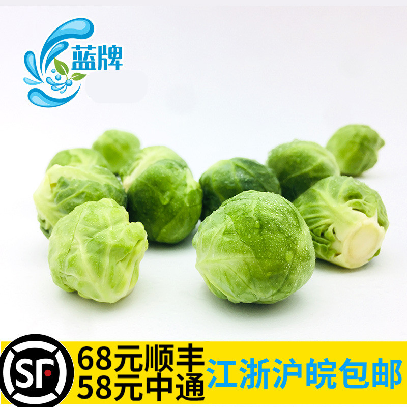 【蓝牌】新鲜抱子甘蓝500g