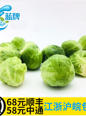 【蓝牌】新鲜抱子甘蓝孢子Brussels Sprouts甘蓝小包菜芽甘蓝500g