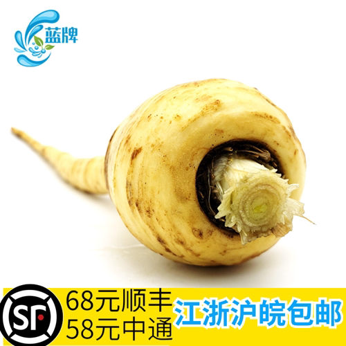 【蓝牌】新鲜防风根欧洲500g萝卜