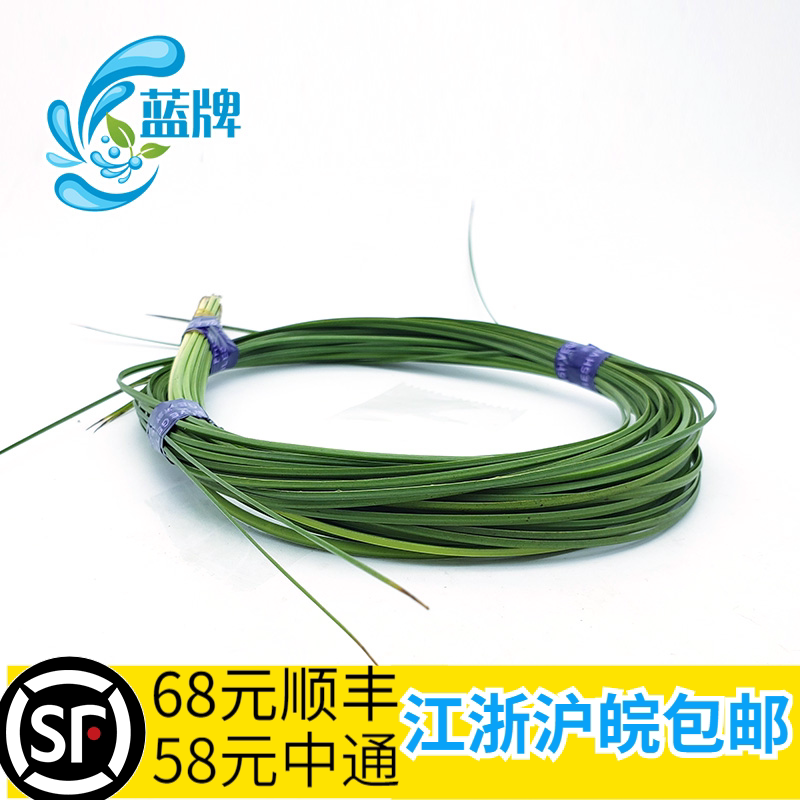 【蓝牌】新鲜钢草 刚草 大熊草 根草  酒店西餐装饰15根