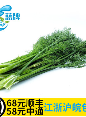 【蓝牌】新鲜莳萝草 dill 刁草 莳萝叶 洋茴香调味西餐香草料100g