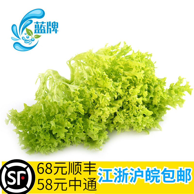【蓝牌】新鲜蔬菜绿珊瑚bright green corral 罗莎绿生菜500g