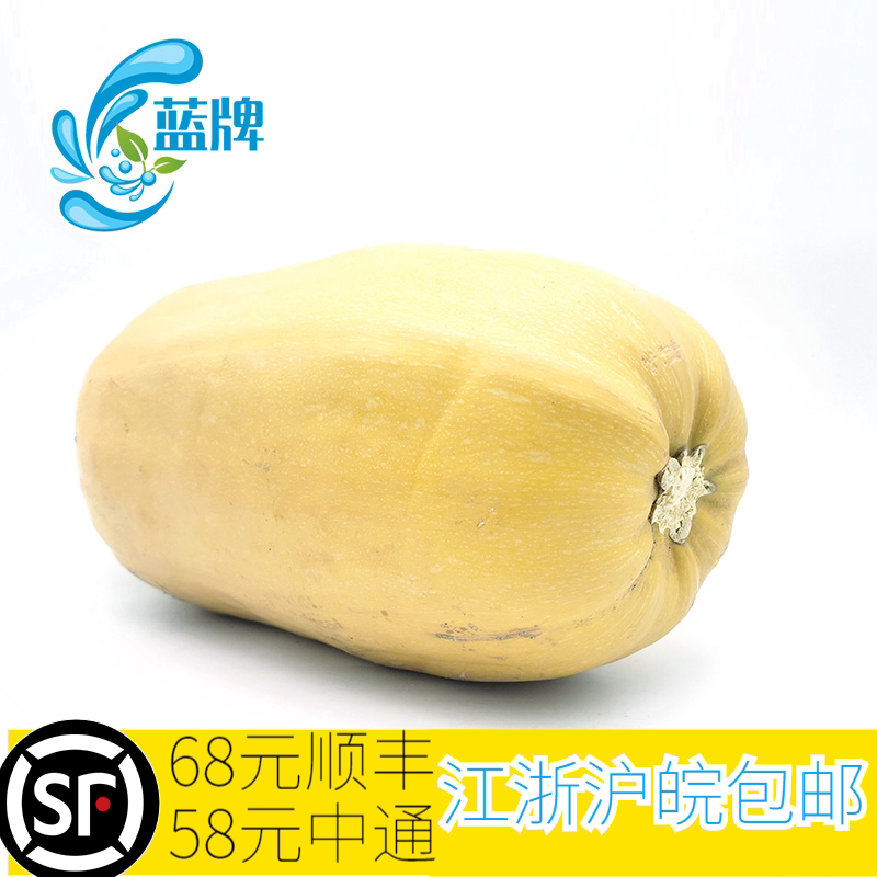 【蓝牌】 新鲜金丝南瓜西餐酒店用2.5公斤左右1只 发普通快递包邮
