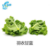 【 Blue Label 】 Fresh Curly Kale 500g thumbnail 5