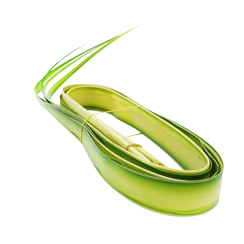 【蓝牌】新鲜剑叶日料摆盘装饰