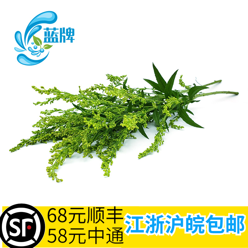 【蓝牌】新鲜黄莺花 酒店 西餐日料法餐酒店装饰摆盘100g