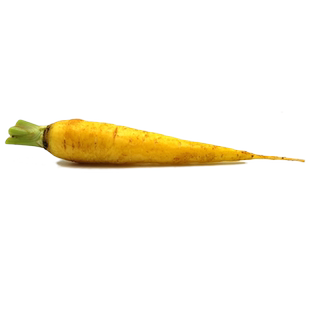 【蓝牌】黄手指胡萝卜Baby Heirloom Yellow Carrots迷你胡萝卜